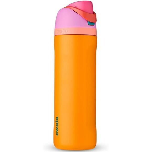 Insulated Stainless Steel Water Bottle with Straw Leakproof BPA Free 24 oz - Picture 1 of 6